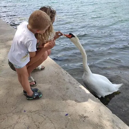 Lägenhet Tonka Mini *
